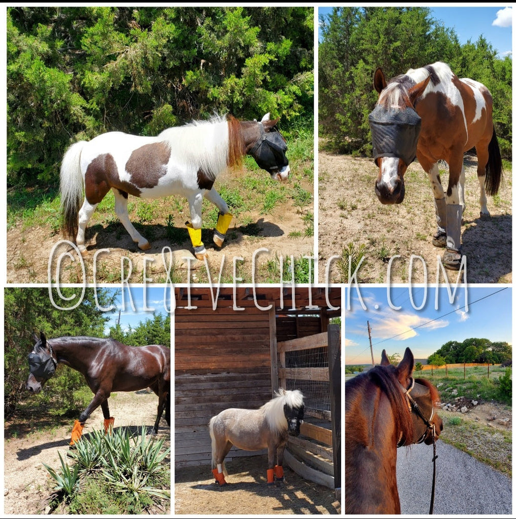 The best Fly Mask ever!