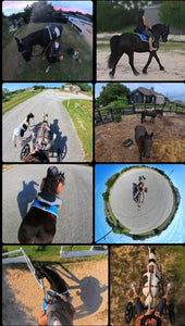 All in one 360 camera for Equestrians, record once - get all POVs! Tracks any horse!