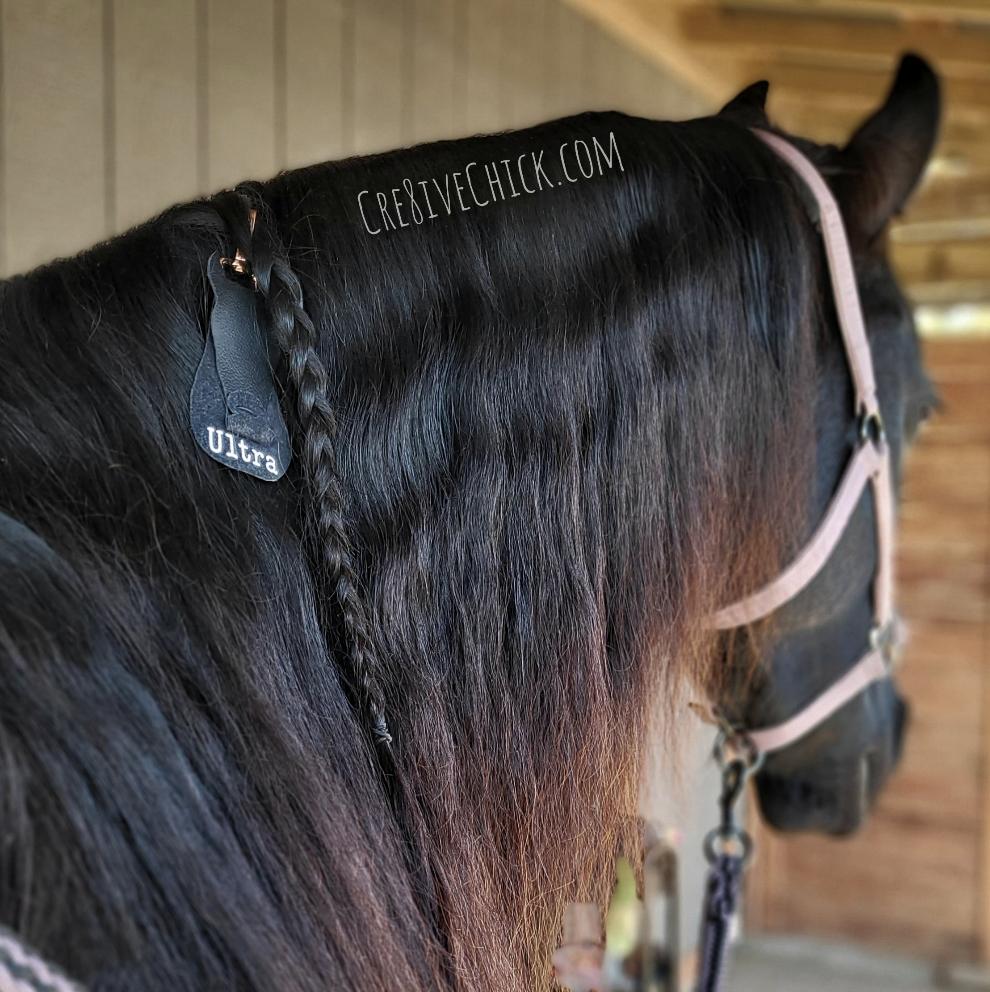 Custom Bridle Tag - Halter Tag - Horse Name Tag - Gift For Horse Lover - Blanket Tag - Barn ID Tag - Personalized Bridle Tag - Saddle Tag